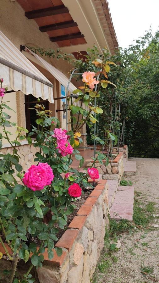 Hostal Restaurante Andra Rio Madera Ngoại thất bức ảnh